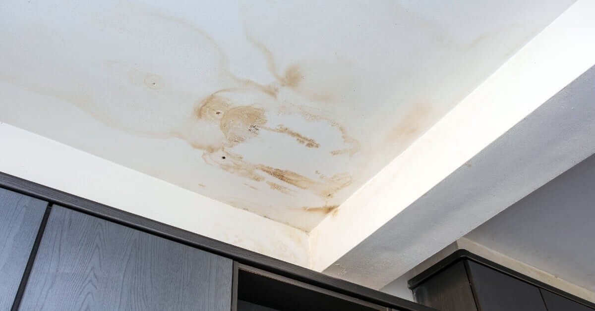 how-to-restore-paintwork-after-water-damage-1